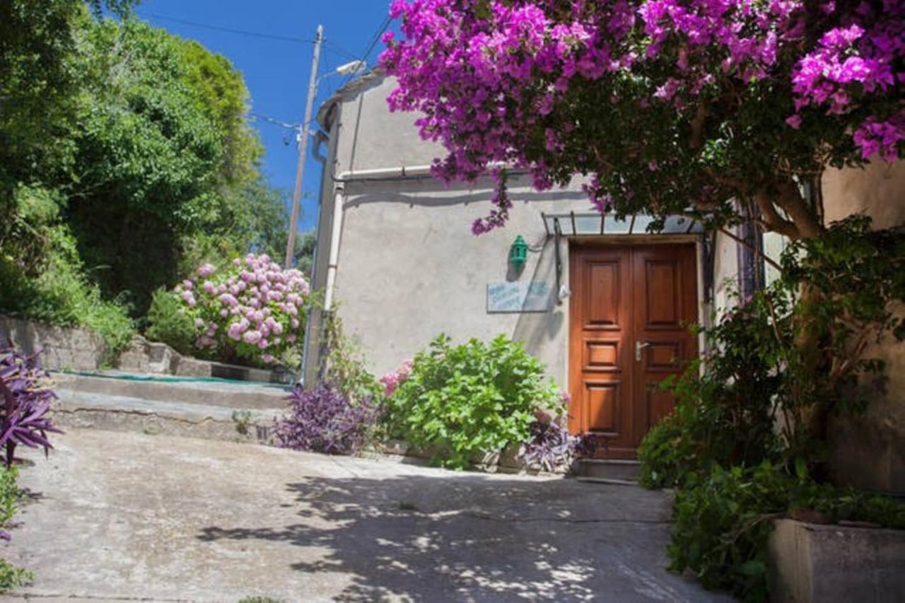 Maison Simonpietri Cagnano Εξωτερικό φωτογραφία